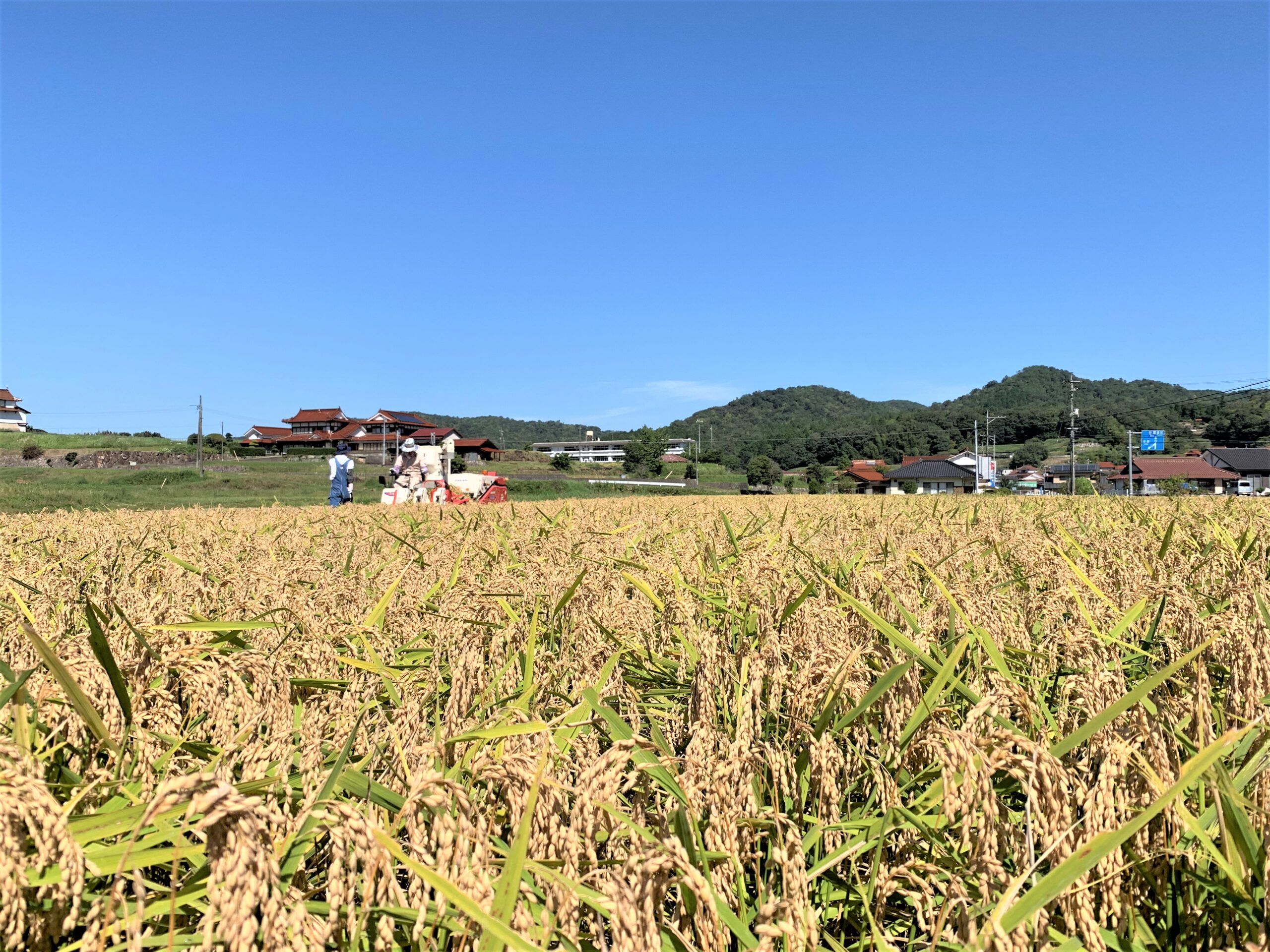 農業 「YOGANSU FARM」