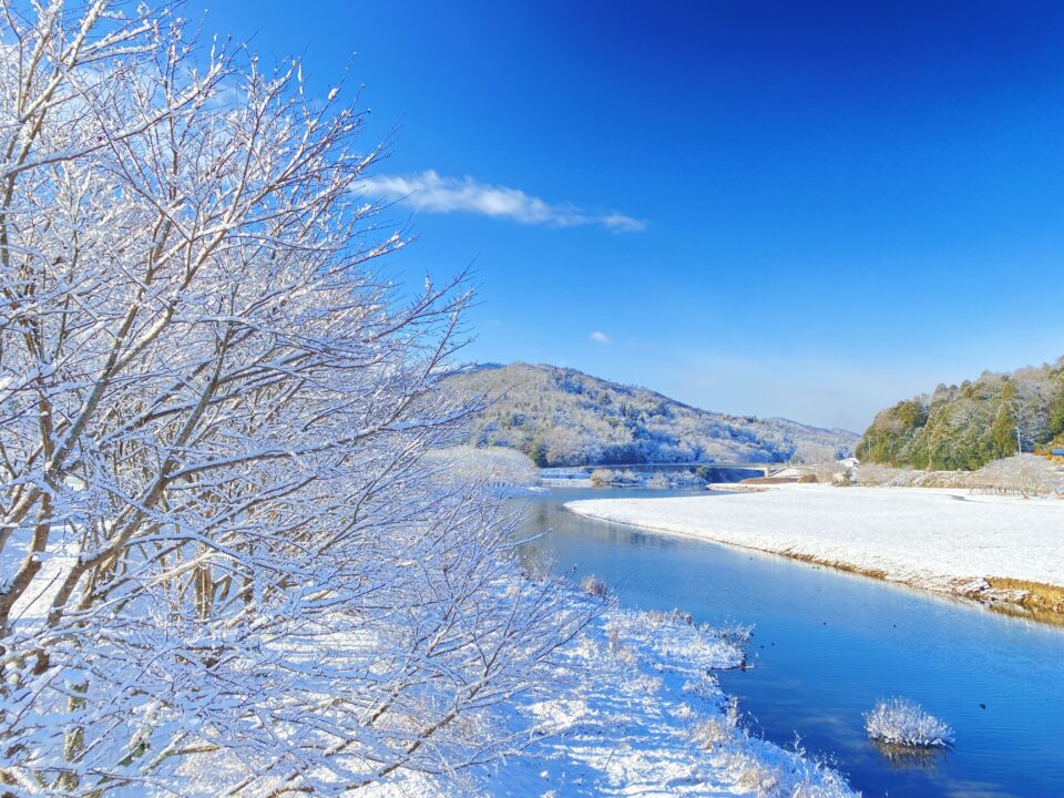 今朝の白竜湖　 雪景色