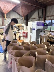 今日は『籾摺り』🌾
